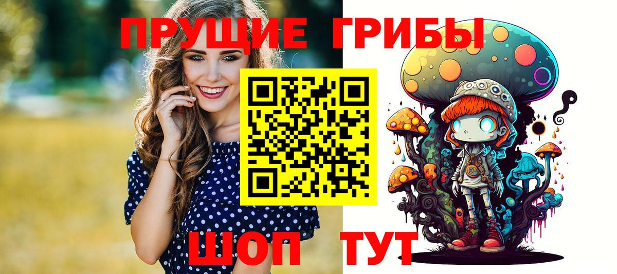 Псилоцибиновые грибы Cubensis Новосибирск